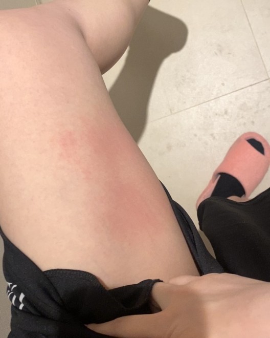 �{�p��̂����̗l�q �B�e�F��ݐ^�R