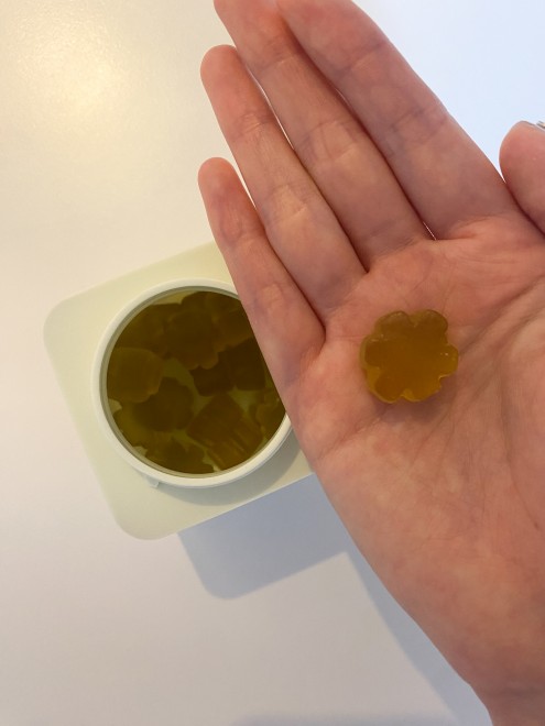 slowglow�w�O���^�`�I���O�~�x �B�e�F��ݐ^�R