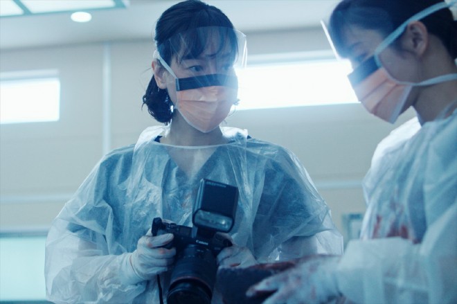  �iC�j2024 �f��w���X�g�}�C���x����ψ���