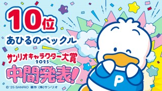 w2025NTILN^[܁xԏ10 iCjf25 SANRIO ijTI