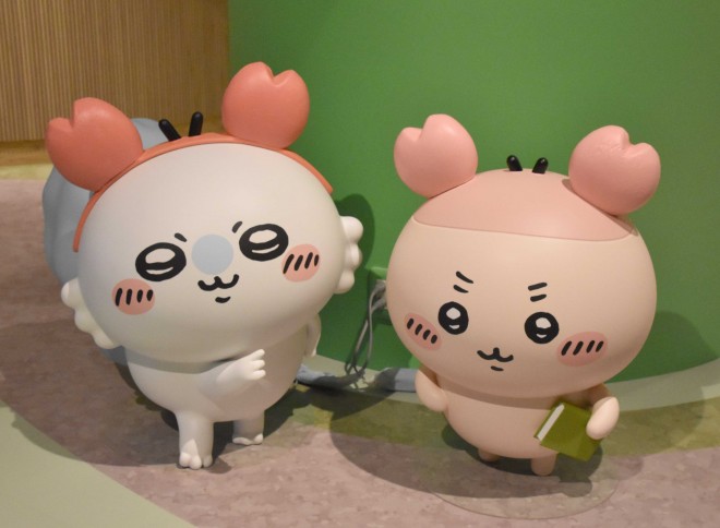 �J�`���[�V�������