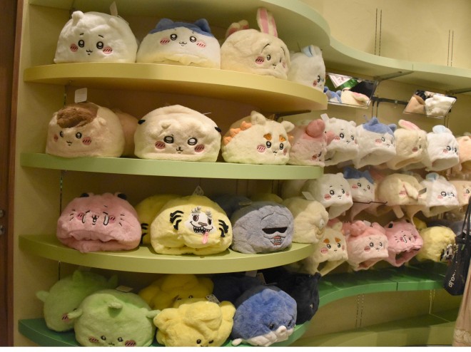 �J�`���[�V�������