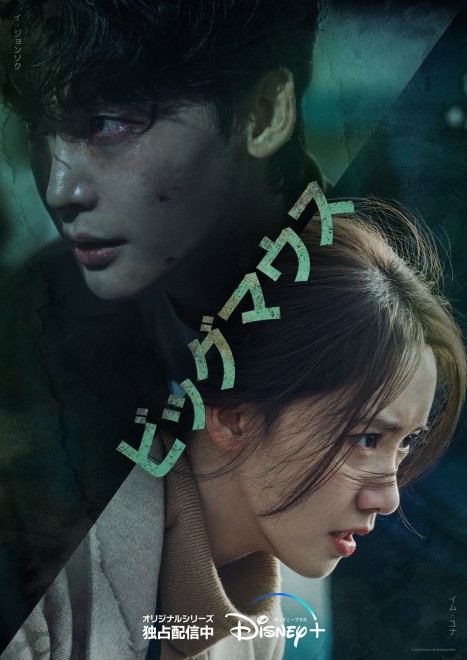 �w�r�b�O�}�E�X�x�f�B�Y�j�[�v���X �X�^�[�ɂēƐ�z�M�� 