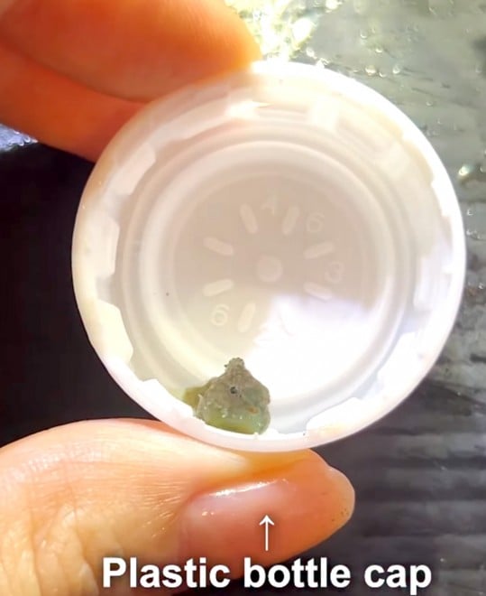 �_���S�E�I�iInstagram�u���񂲂ނ��߁v���^@dangomusume1�j 