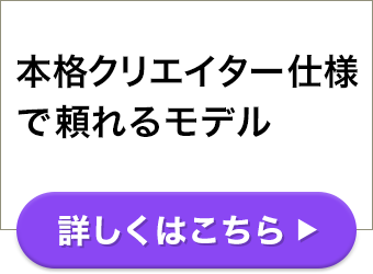 �{�i�N���G�C�^�[�d�l�ŗ���郂�f���@�ڂ����͂�����