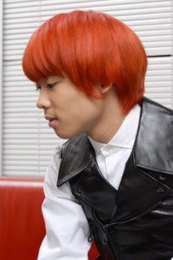 �I�J���g���C�W