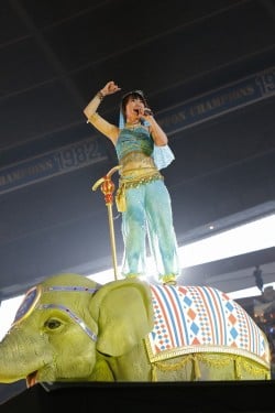 �ۂ́g�i���{�h�̏�ŉ̏�