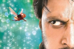 �w�}�b�L�[�x