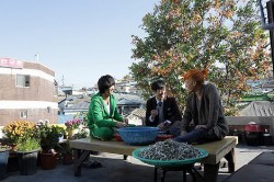 �w�V�[�N���b�g�E�~�b�V�����x