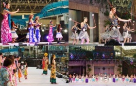 �V�l�t���K�[���A50���N�L�O���������f�r���[�O�̑f��ɔ���I