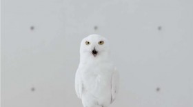 �c�����R���݂Ɏg���鍂�X�y�b�NPC�̓��悪�ߖ����I�I�@���̂悤�Ɏ��R��!?�@�V�R���Z�v�gPC�ɒ���