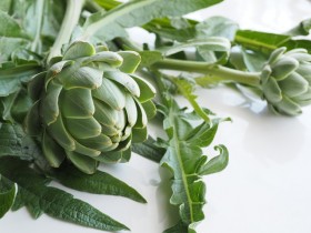 �u�ь��̊J���v�Y�݂ɋ~����I