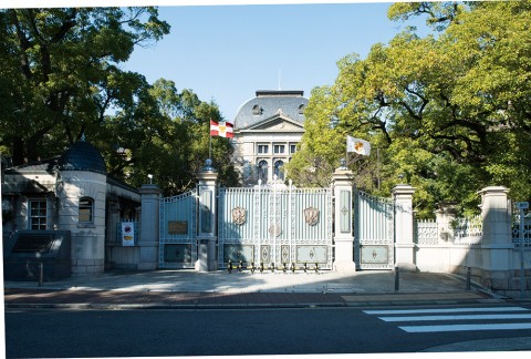 �f��̕���ɂȂ�l�E�X�g���A��g��