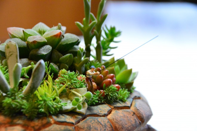 ��D���Ȏ�g�ނ�h���e�[�}�B��������X�g�[���[���c���ł���