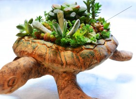 �j�̎�A�ځyHOBBULOUS LIFE�zVol.1�W�I���}�~�ϗt�A���g�A���}�h