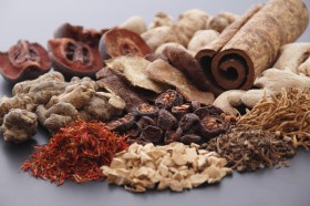 �����ɂ��̒��Ǘ��B���ꂩ��̋G�߂̐g�߂ȑ̒��P�A�@