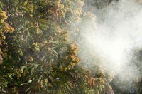 �yTrend Research�z�V�[�Y�������A�����Ɏ��������ԕ��Ǒ΍�