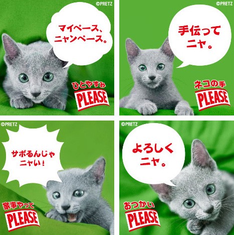 小栗旬が子猫に プリッツ の胸キュン新cmに注目 Oricon News