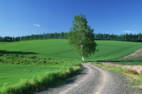 �s�y�V�[�Y���A���������s���{�������L���O