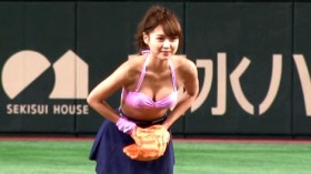 �|�\�C�x���g�́g�Ԍ^�h�Ƃ��ďd�󂳂��n����