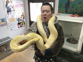 �悵���Ɓg�Z�݂܂��|�l���h�������苳����I �����n�g���h�X�|�b�g���g���h���j���[�T�K�M���b��!!