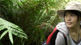 �L���ˏ��@����E���΂�̈��M�щJ�тŉߍ��ȑ�`��