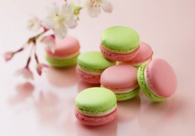 �t�̃n�C�u���b�h�X�C�[�c �gSAKURA �~ �����h