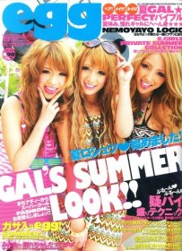 �u�a�J��ό�����v�����g�a�J�����h�ւ̎��g�݂Ƃ́H