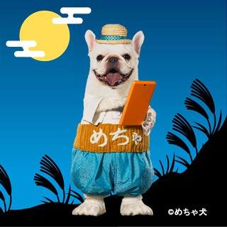 秋の夜長にピッタリ 実写化作品から人気芸人のオススメまで めちゃコミ で話題作を読破 Oricon News