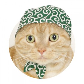 �K�`���K�`���퍑����Ƀq�b�g�A���̃L�^���N���u�A������10���Œ��ށu���E�v�ւ̓�