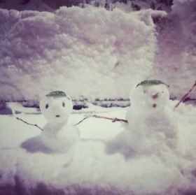 2�i�d�ˁH ����Ƃ�3�i�H �e���ňقȂ�g�Ⴞ��܎���h