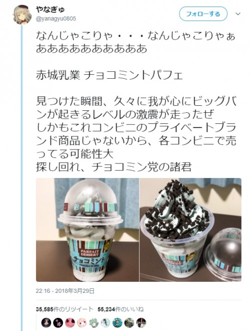 チョコミン党 の勢力は拡大中 アイスクリームメーカーに聞いた チョコミント 商品拡大の背景 Oricon News