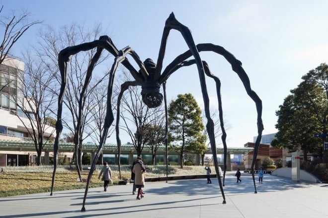 怖くて近寄れない の声も リアルすぎる クモ を展示する六本木ヒルズの狙い Oricon News