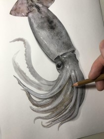 40�������ˏW�߂�g���ʂɂ��������Ȃ��h�H�e���E�C���X�g���[�^�[�������̂́u���������������v