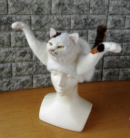 ���ꂪ�{���́c �g�L���Ԃ�X�h��SNS�Řb��A��҂ɕ����u���L���X����i�̌����͂Ɂv