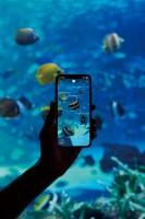 �u�����قɍs�������Ȃ����v�܂�ŋߖ����ȁg������AI�}�Ӂh�Ƀl�b�g�܎^�A�J����Ђɕ���