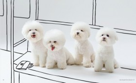 �܂�œ����킽���߁c�h���}�Řb��̌��r�V�����t���[�[�A������ɕ����g�����t�h�̖���