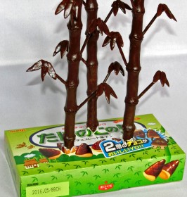 �u�����̂��̗��v���}�����H�g�p���f�B���َq�h�ɔ����A���삷����p�̐搶�����������m���̊y����