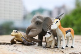 �Ȃ��l�C�H�@1000���𔄂�グ��g�V���N���h�����̃J�v�Z���ߋ�A�C�O�ł��b���