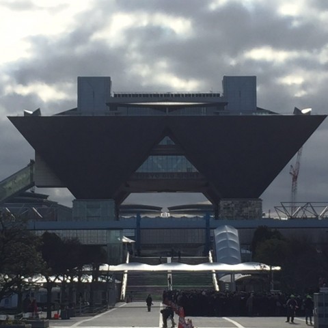 2017�N���̓~�R�~�̗l�q