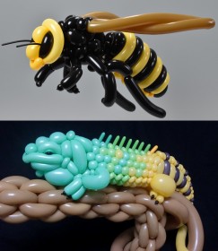 ���E�����ڃo���[���A�[�e�B�X�g�A���킢���̑΋ɂ��U�߂闝�R�u�g�C���������h���_�ߌ��t�v