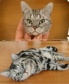 ��w�����g�r�т̔L�h���܂�Ŗ{���A���A���ȍ�i�Ńy�b�g���X���~��