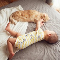 ぬいぐるみ一筋30年「やまね工房」の卸売り終了に絶えない惜しむ