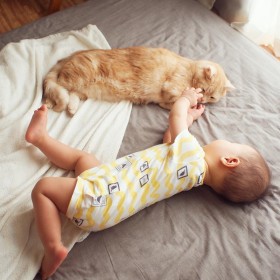 �l�C�L�g�Ձ[�h�ƐԂ������J�ɔ����A�u�������肨�Z�����v�u�������v�̐�