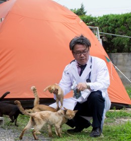 �F�{�̔�Вn�Ō������g�y�b�g�h�Ёg�h�̍��A�ᔻ����ǁu���s�����̃����b�g�v