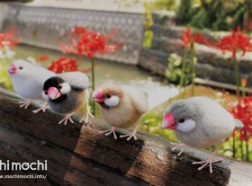 �p��Ɏc�����Ⴊ���u���������̂�Q�������c�v�A���`��Ƃ̓����ށg���b�ی�{�����e�B�A�h