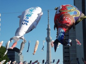 �u�h�̔����ꂽ�v���j���g�}�O���̂ڂ�h�ɍ��߂���Ԓ��̊肢