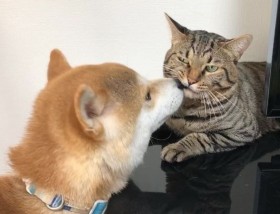 �Č��E�䂤�Ɉ����ꂷ���Ă�΂�MIX�L�E�Ƃ�A���X�X�V�����M���V���b�g�ɐ��E��������