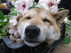 �u��i�����Ȃ�ł��v�Ǘ��E�g�����R�h�ɖ������l���o�c�Ԃɖ�����g�������Ȃ��h�������Ȃ�