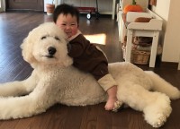 �t�H�����[54���A�g���ӂ��Ӂh�X�^���_�[�h�v�[�h��3�C�Ƒ��̗D�������E�u�ꏏ��������O�v